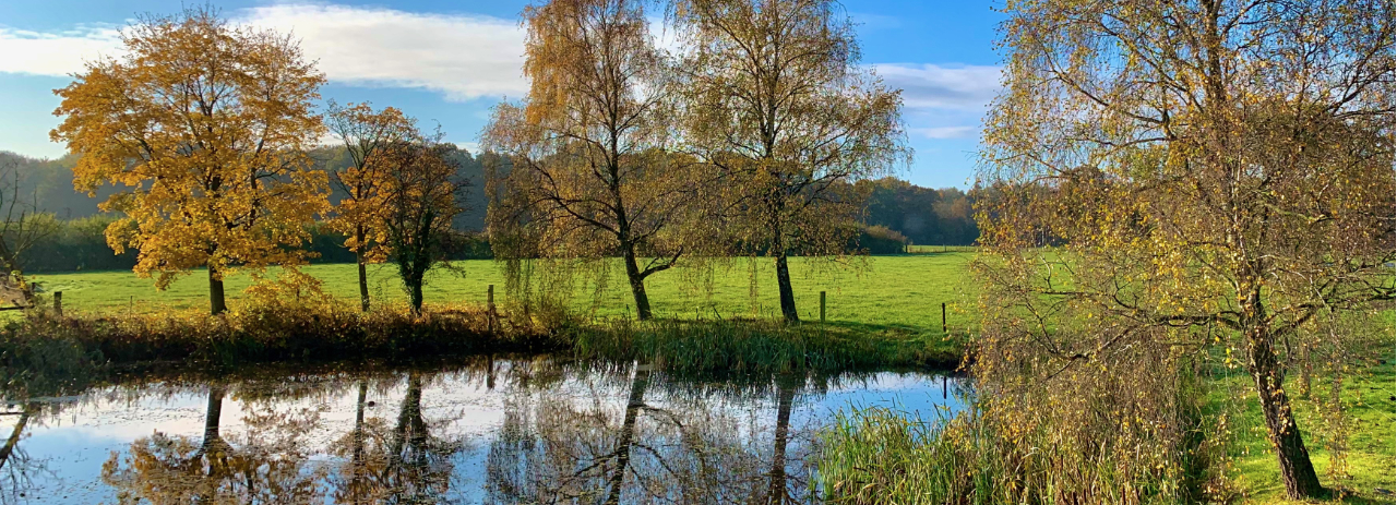 Autumn pond in Cholmondeley