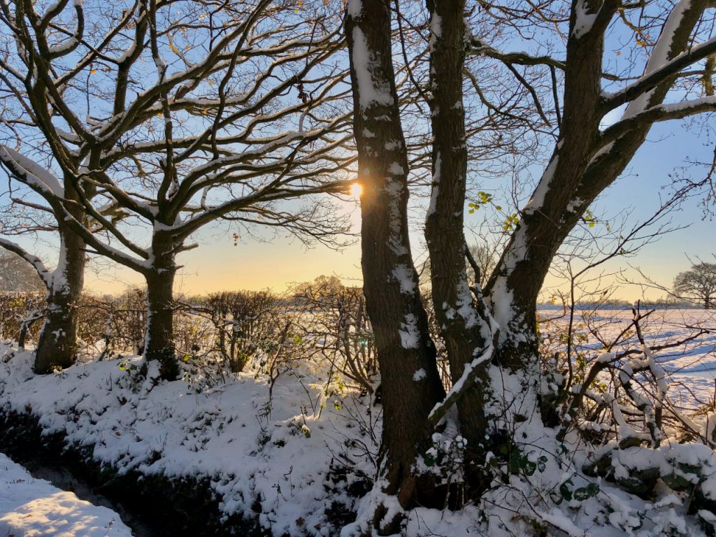 Wintry Scene in Chorley