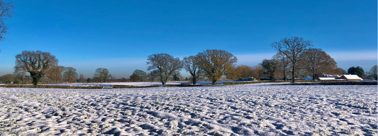 Snowy Fields in Chorley