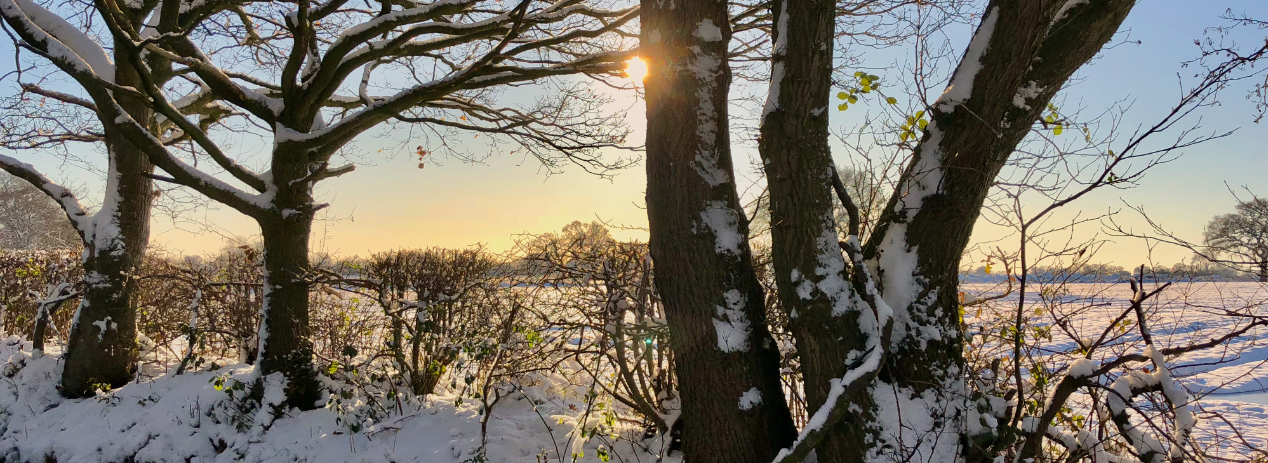 Wintry Scene In Chorley